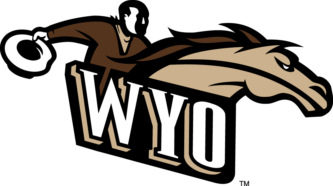 Wyoming Cowboys 1997-2006 Alternate Logo v2 diy iron on heat transfer